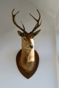 decoratie
